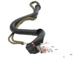 330A77230005 - Image 3